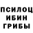 Псилоцибиновые грибы Magic Shrooms Aqsa Nayab