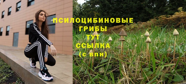 прущая мука Богданович