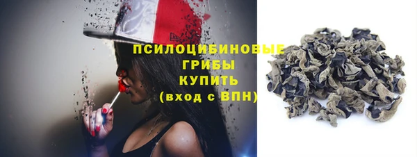 прущая мука Богданович